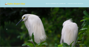 Bootstrap project homepage
